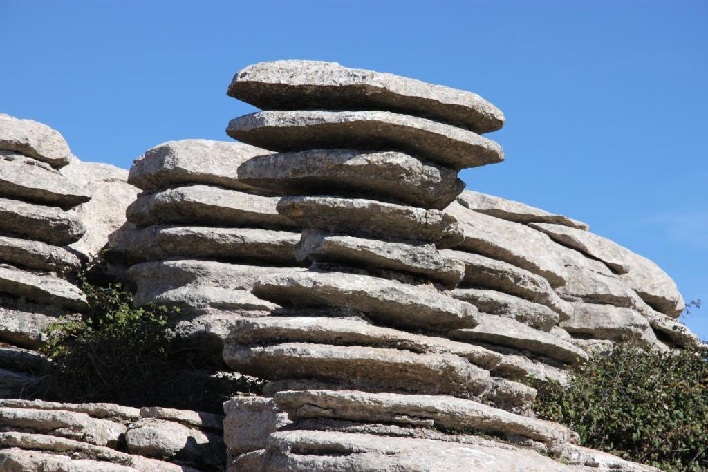 Villanueva del Rosario Cortijo Sabilaゲストハウス エクステリア 写真
