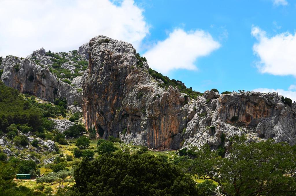 Villanueva del Rosario Cortijo Sabilaゲストハウス エクステリア 写真