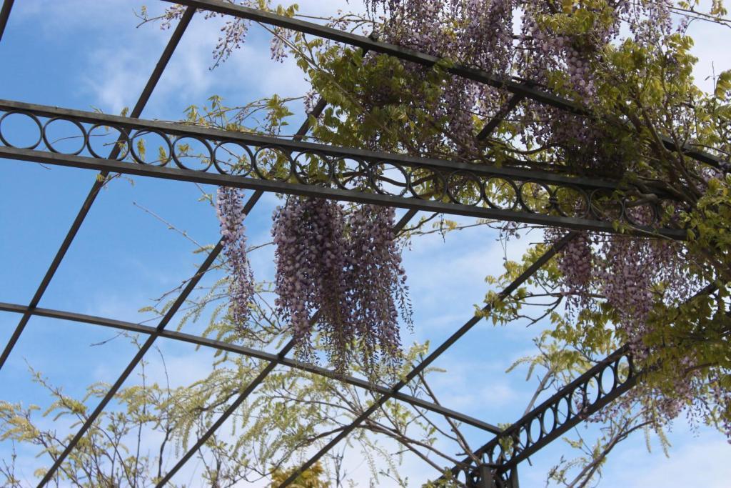 Villanueva del Rosario Cortijo Sabilaゲストハウス エクステリア 写真